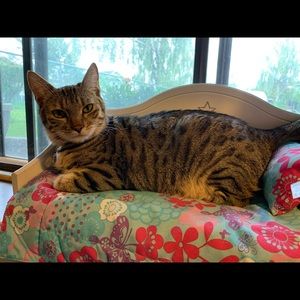 Meet your Posher, Jessica